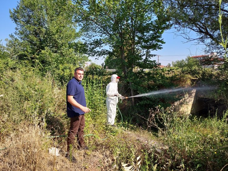 Ψεκασμοί για την αντιμετώπιση των κουνουπιών