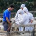 Απονομή τιμητικών πλακετών στους κτηνιάτρους για την προσφορά τους στη μάχη κατά της πανώλης των μηρυκαστικών