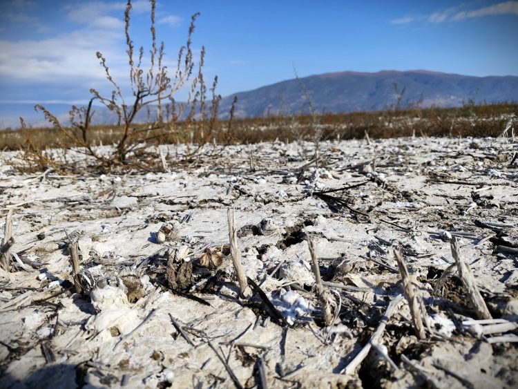 Συνεχίζεται η δωρεάν παροχή αναλύσεων εδάφους στους πληγέντες παραγωγούς