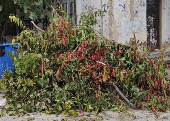 Δήμος Καρδίτσας: Εναπόθεση κλαδεμάτων κατά τις ώρες 8:00 έως 13:00