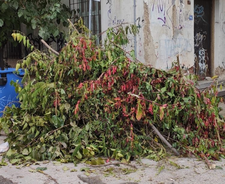 Δήμος Καρδίτσας: Εναπόθεση κλαδεμάτων κατά τις ώρες 8:00 έως 13:00