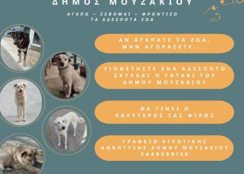 Αγαπώ – Σέβομαι – Φροντίζω τα Αδέσποτα Ζώα