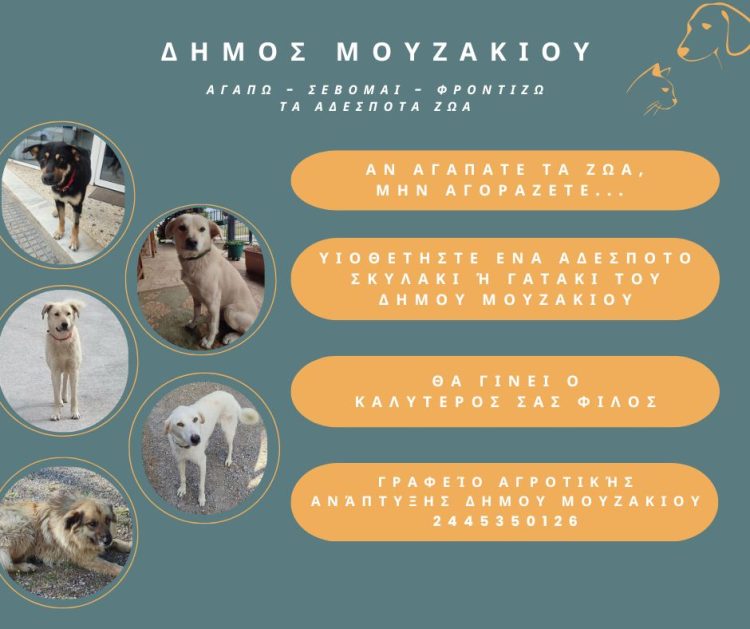 Αγαπώ – Σέβομαι – Φροντίζω τα Αδέσποτα Ζώα