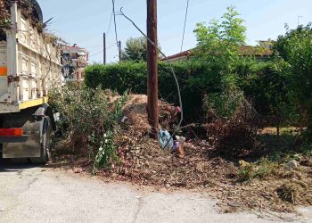 Δεν επιτρέπεται η ανεξέλεγκτη απόθεση κλαδεμάτων σε σημεία που μπορούν να προκαλέσουν κίνδυνο κατά τη συλλογή τους
