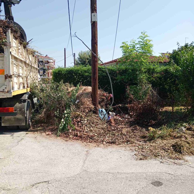 Δεν επιτρέπεται η ανεξέλεγκτη απόθεση κλαδεμάτων σε σημεία που μπορούν να προκαλέσουν κίνδυνο κατά τη συλλογή τους