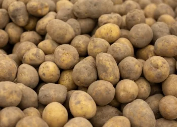 Πατάτες Αιγύπτου ως «ελληνικές»: Τι έδειξαν οι έλεγχοι του υπ. Ανάπτυξης στην αγορά, «έπεσαν» πρόστιμα 62.000 ευρώ