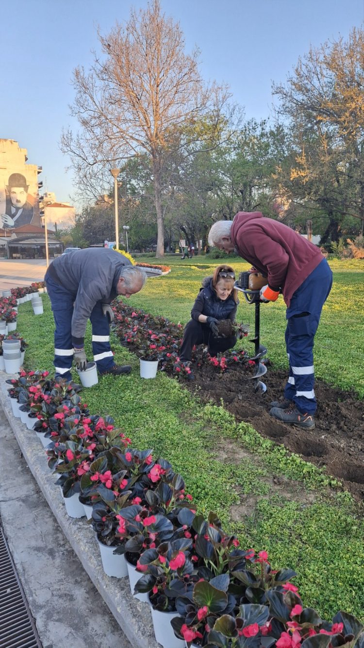 Εαρινές φυτεύσεις από την υπηρεσία πρασίνου του Δήμου Καρδίτσας