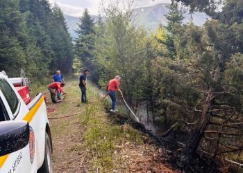 Άμεση κινητοποίηση και υποδειγματικός συντονισμός απέτρεψαν εξάπλωση φωτιάς στην Αργιθέα