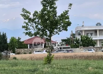 Μία σύλληψη στην επιχείρηση του οργανωμένου εγκλήματος στη Γιάννουλη