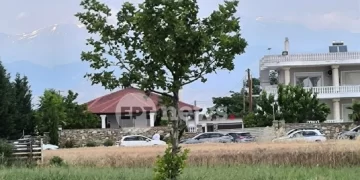 Μία σύλληψη στην επιχείρηση του οργανωμένου εγκλήματος στη Γιάννουλη