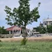 Μία σύλληψη στην επιχείρηση του οργανωμένου εγκλήματος στη Γιάννουλη