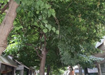 ΟΧΙ ΣΤΗΝ ΚΑΤΑΣΤΡΟΦΗ ΤΩΝ ΠΕΖΟΔΡΟΜΩΝ