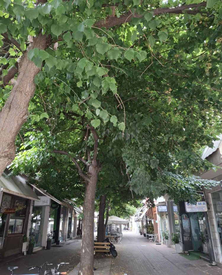 ΟΧΙ ΣΤΗΝ ΚΑΤΑΣΤΡΟΦΗ ΤΩΝ ΠΕΖΟΔΡΟΜΩΝ