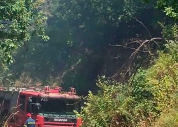 Ευχαριστήριο του Δήμου Μουζακίου για την άμεση αντιμετώπιση της πυρκαγιάς στη Δημοτική Κοινότητα Αγίου Ακακίου