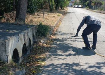 Άμεση κινητοποίηση του Δήμου Σοφάδων για την καταπολέμηση των κουνουπιών μετά το επιβεβαιωμένο κρούσμα Ιού του Δυτικού Νείλου