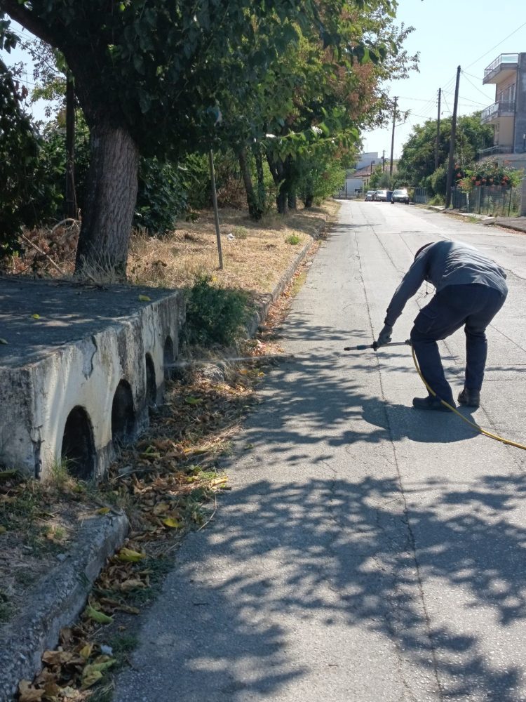 Άμεση κινητοποίηση του Δήμου Σοφάδων για την καταπολέμηση των κουνουπιών μετά το επιβεβαιωμένο κρούσμα Ιού του Δυτικού Νείλου