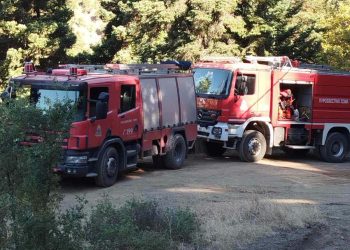 Καταφύλλι: Η φωτιά «υπέκυψε» ενώπιον ενός  οργανωμένου μηχανισμού σε πλήρη ετοιμότητα